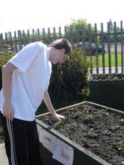 Student looking at the potato holder